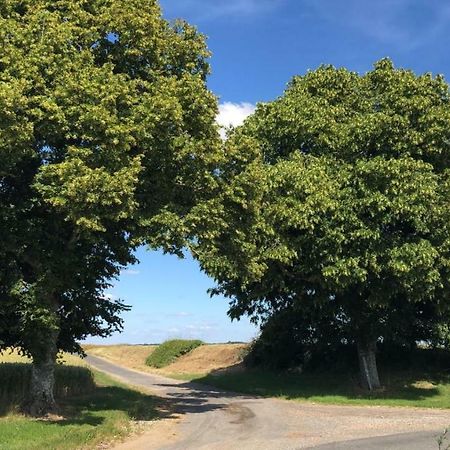 Le Gite De Ballage Chemille-Sur-Deme エクステリア 写真