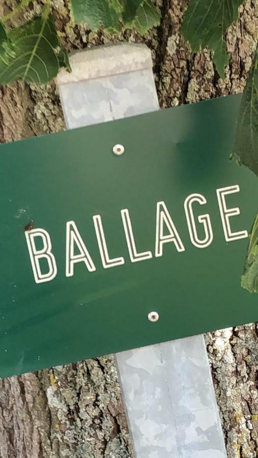 Le Gite De Ballage Chemille-Sur-Deme エクステリア 写真